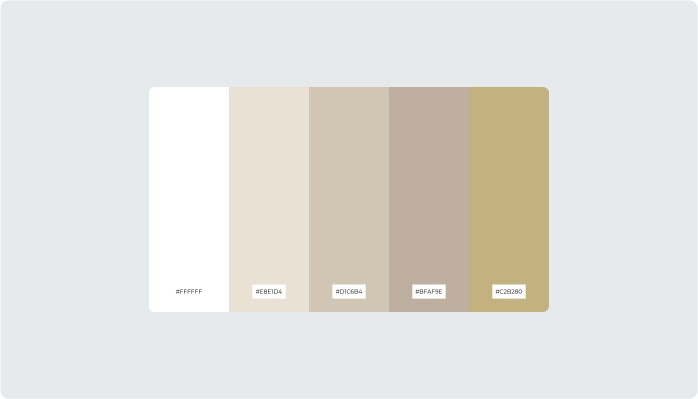 Image for Color Variations of Beige Color