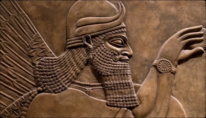 Image for Historical meanings of brown color