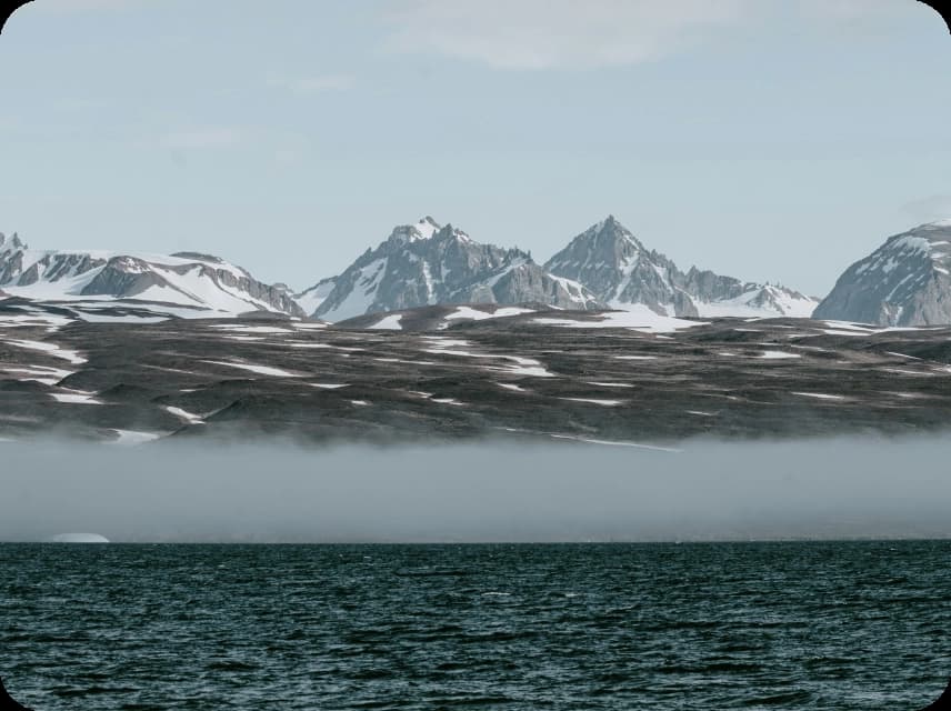 Arctic / Antarctic Color Palettes