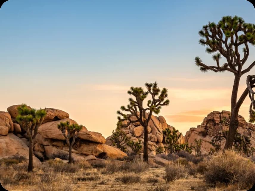 Desert Color Palettes