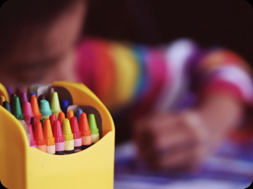 Education Color Palettes
