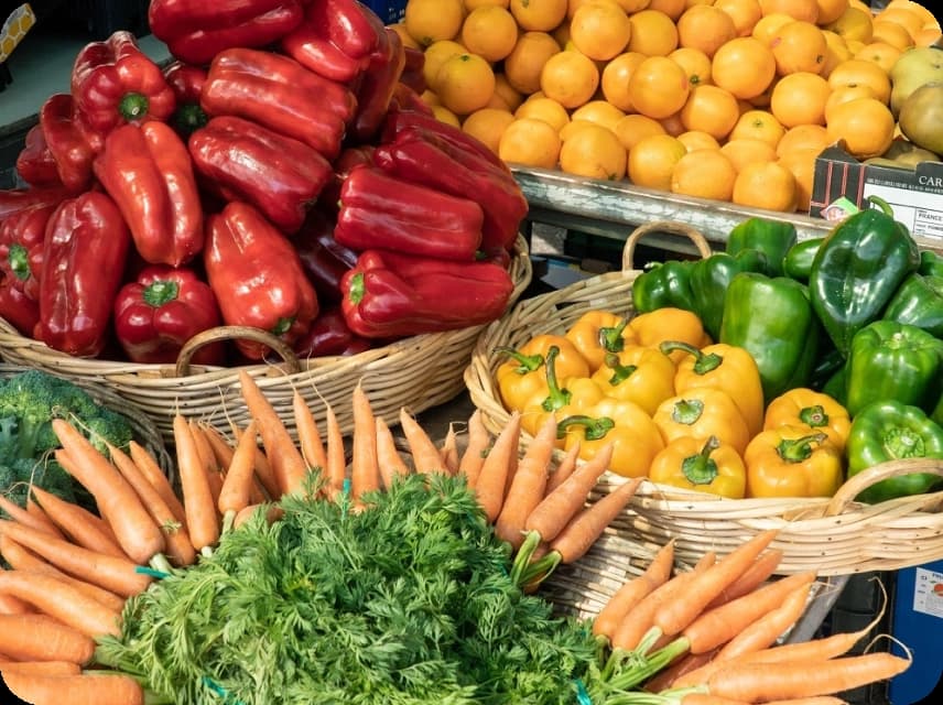 Organic Color Palettes