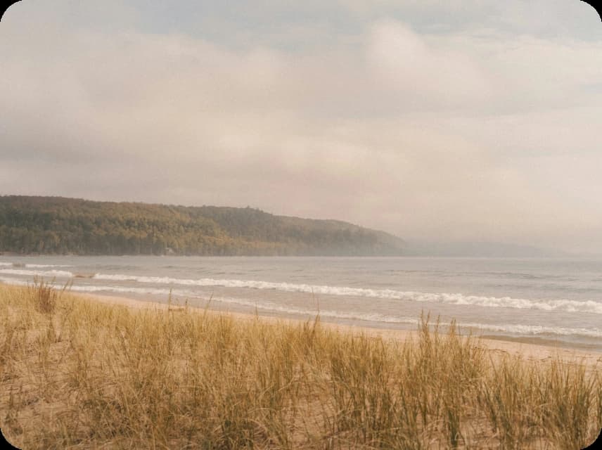 Seasonal Neutrals Color Palettes
