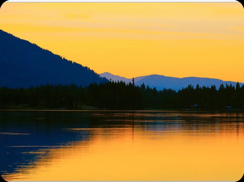 Split-complementary Color Palettes