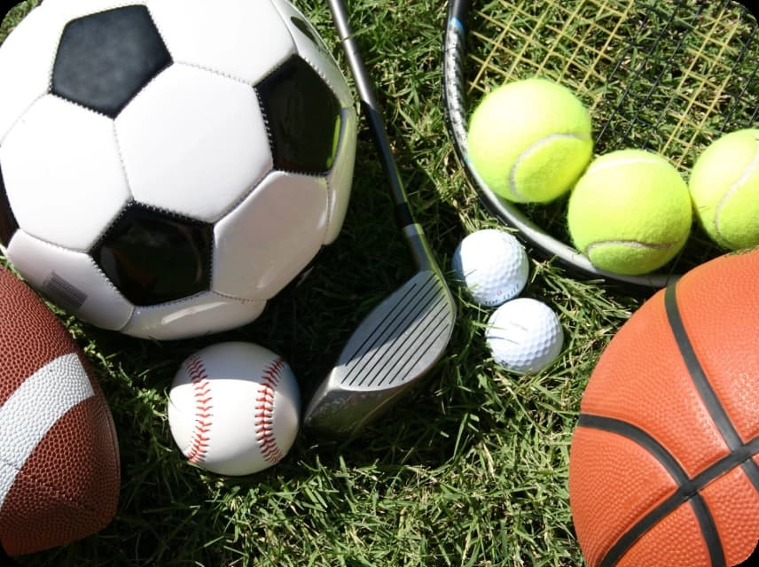 Sports Color Palettes