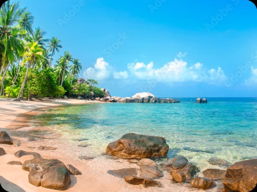Tropical Color Palettes
