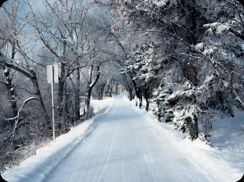 Winter Color Palettes