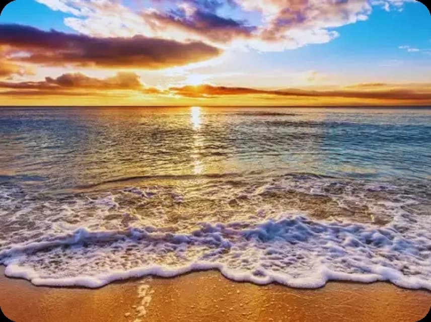 Ocean & Beach Color Palettes